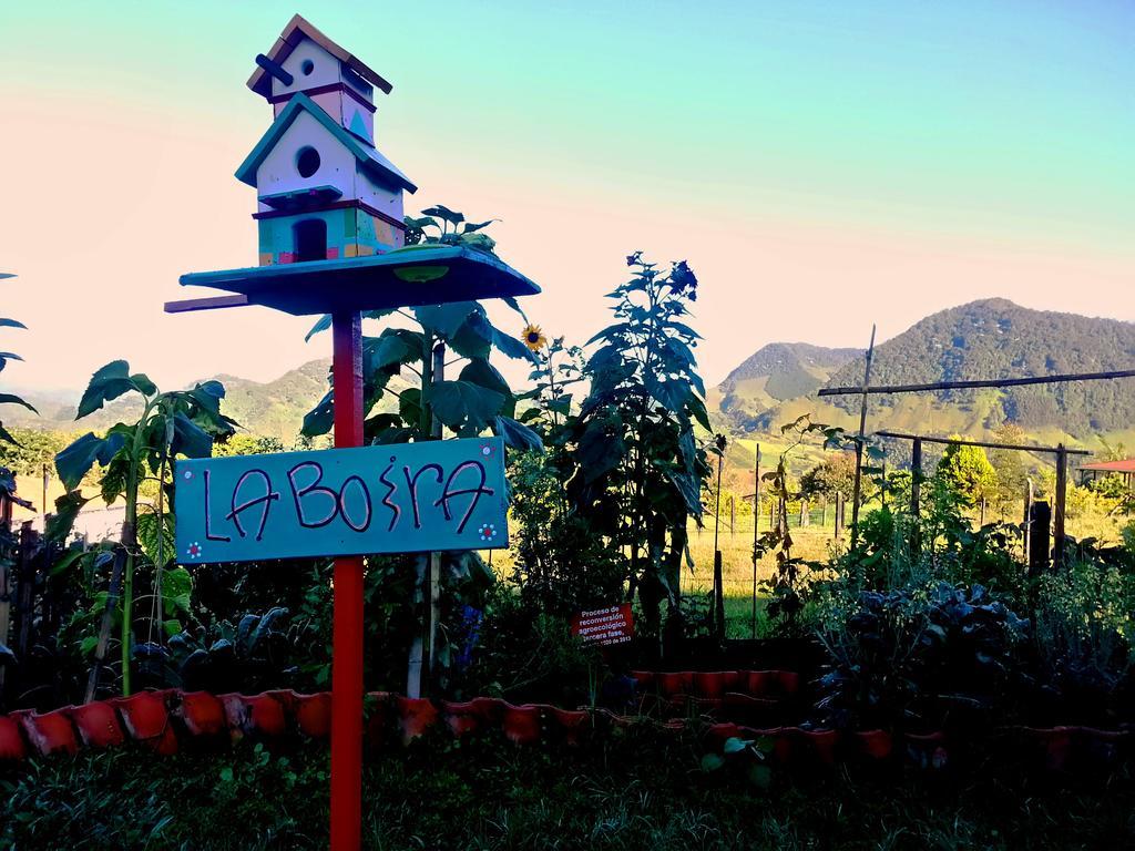 Bed and Breakfast Coliving La Boira Jardín Exterior foto
