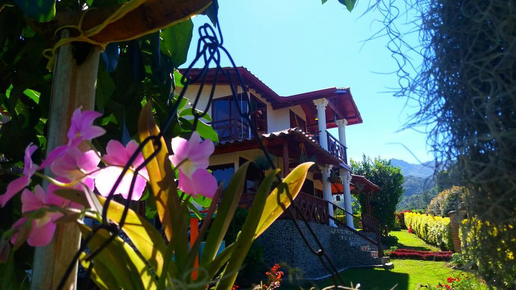 Bed and Breakfast Coliving La Boira Jardín Exterior foto