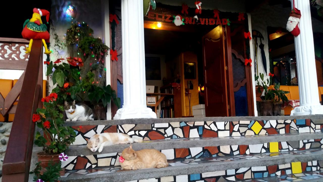 Bed and Breakfast Coliving La Boira Jardín Exterior foto