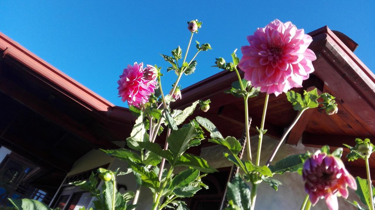 Bed and Breakfast Coliving La Boira Jardín Exterior foto