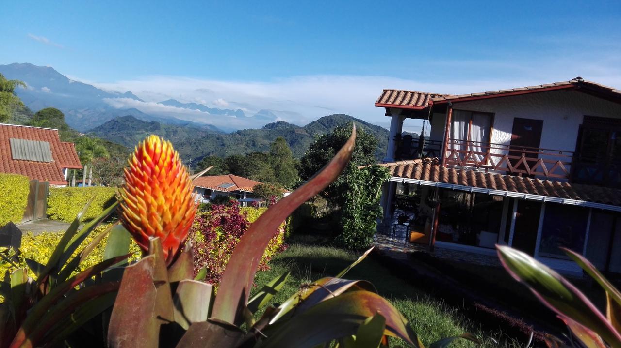 Bed and Breakfast Coliving La Boira Jardín Exterior foto