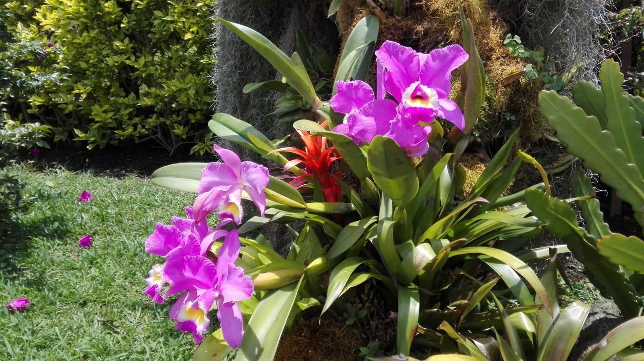 Bed and Breakfast Coliving La Boira Jardín Exterior foto