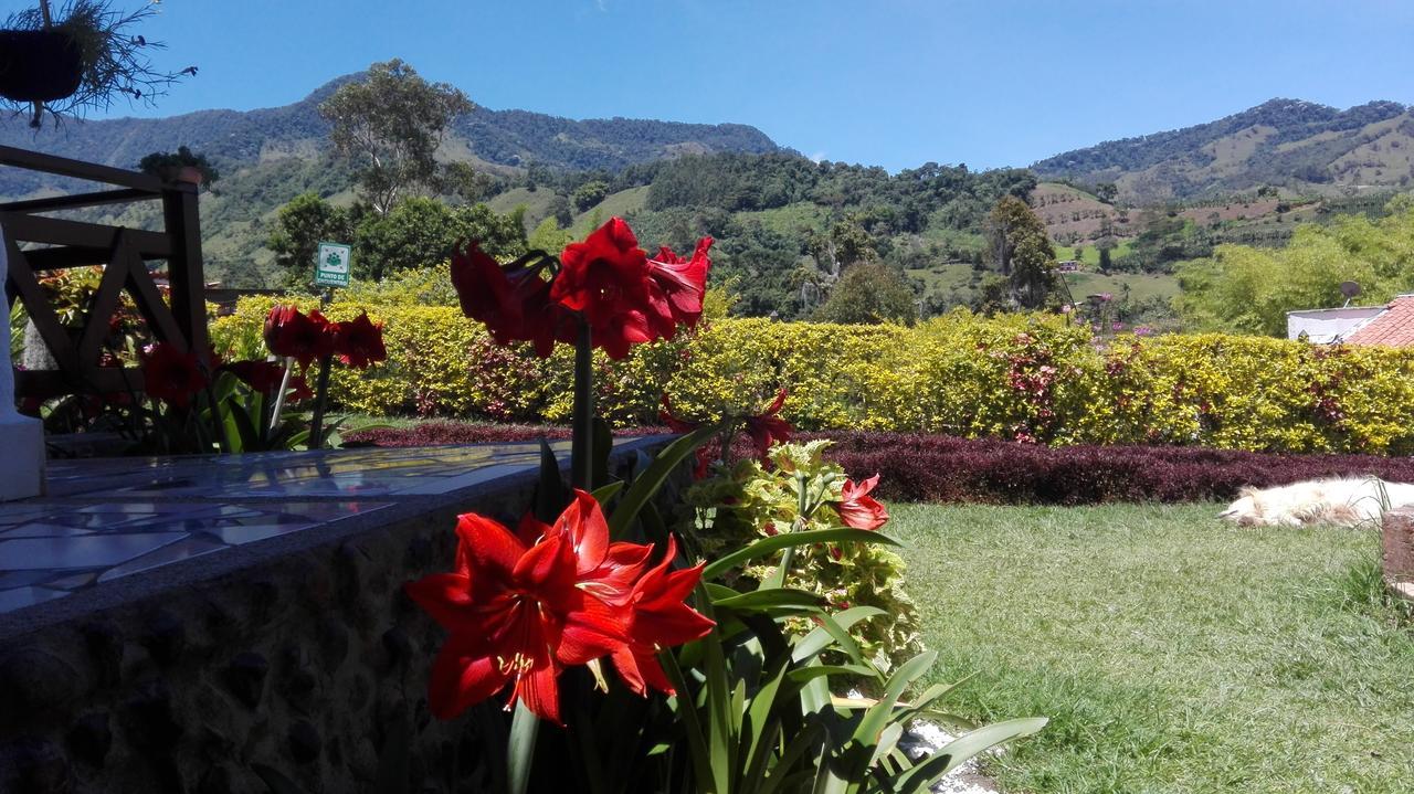 Bed and Breakfast Coliving La Boira Jardín Exterior foto